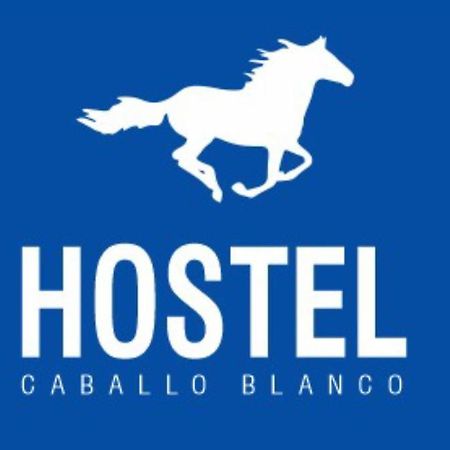 Hostel Caballo Blanco Cartagena Exterior photo