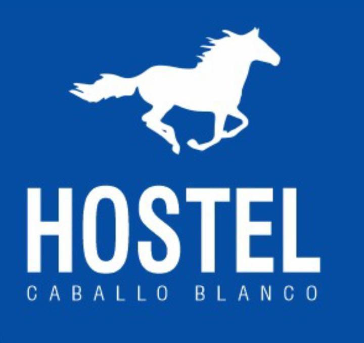 Hostel Caballo Blanco Cartagena Exterior photo