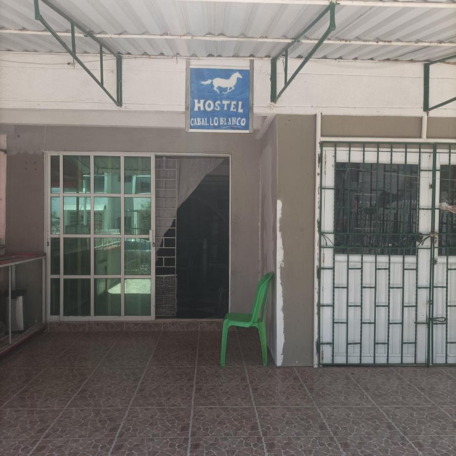 Hostel Caballo Blanco Cartagena Exterior photo